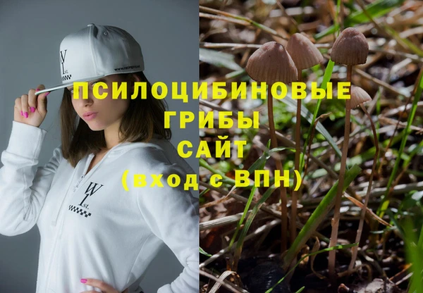 таблы Костерёво